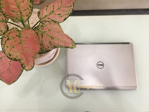 nen-chon-mua-laptop-dell-nao-tot